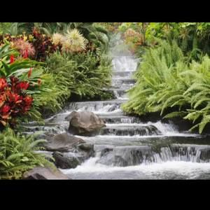 Meet your Posher, Dianshi